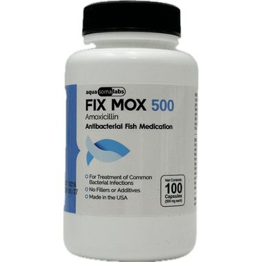Fix Mox (Amoxicillin) Capsules Fish Antibiotics