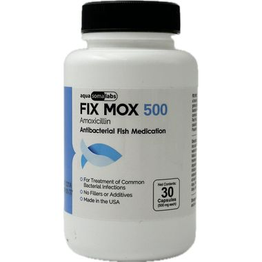 Fix Mox (Amoxicillin) Capsules Fish Antibiotics